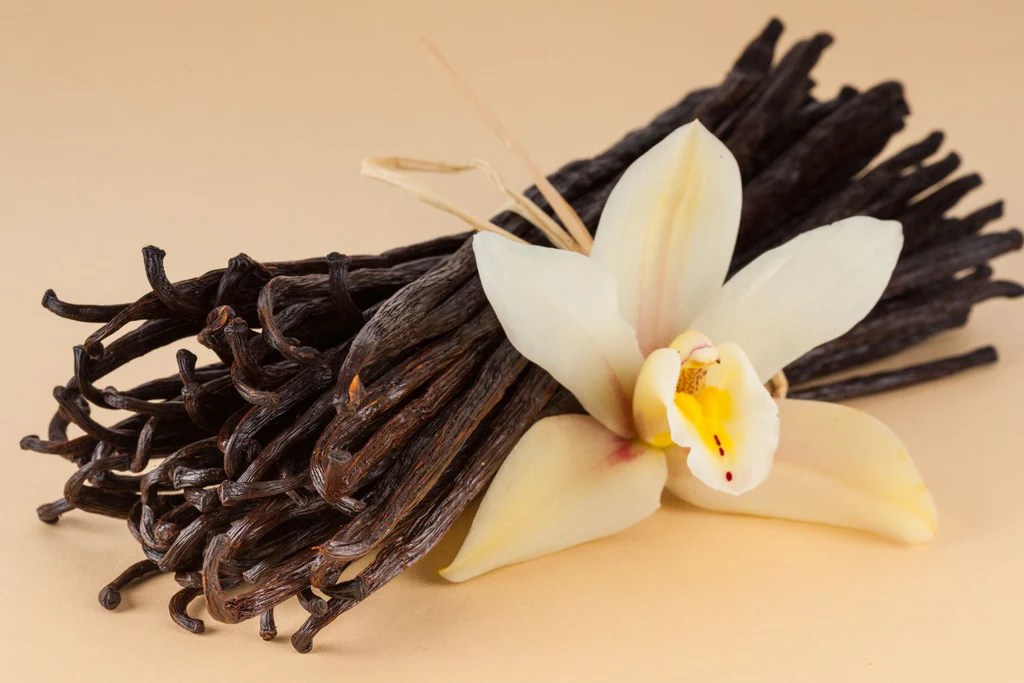Aromatherapy Adventures: Diffusers and Essential Oils