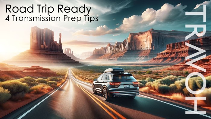 Road Trip Ready: Must-Have Car Accessories