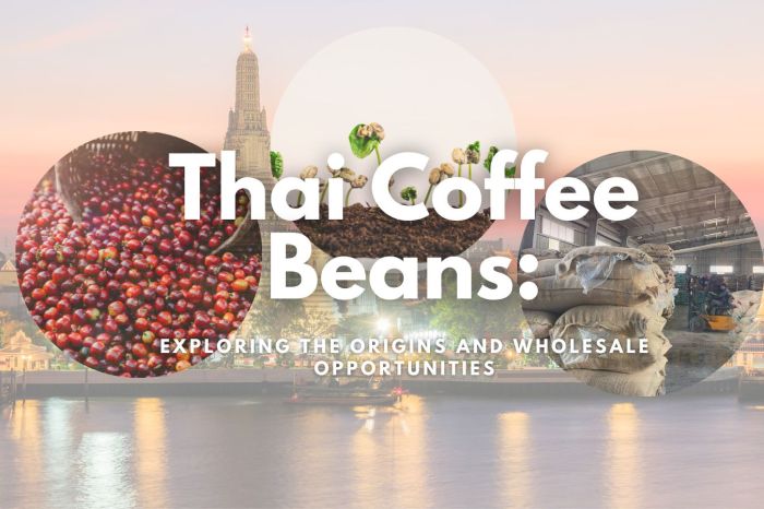 Coffee Culture: Exploring Artisanal Beans and Brewing Methods