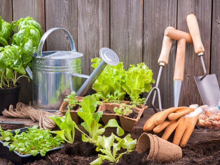 Gardening equipment maintenance gardener ferramentas needed plantasonya jardinagem saiba cuidar simplelivingcountrygal