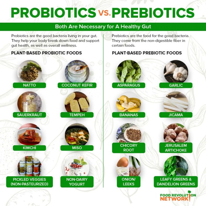 Digestive Health: Probiotics and Gut-Friendly Products