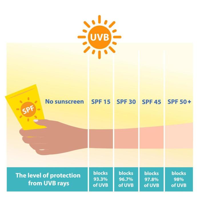 Spf lotion sunscreen mineral hydrating cerave Sun Protection Smarts: The Best SPF Products for All Seasons